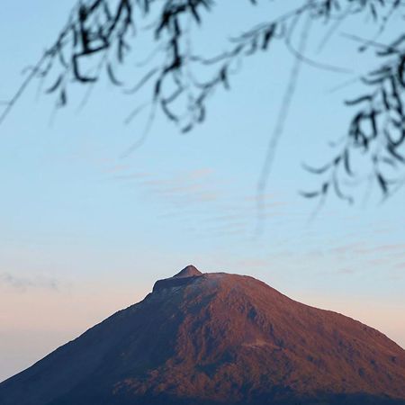 Cantinho Dos Cagarros ラジェス・ド・ピコ エクステリア 写真